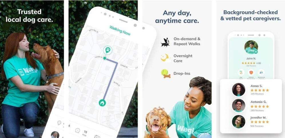 dog walking mobile app development 
