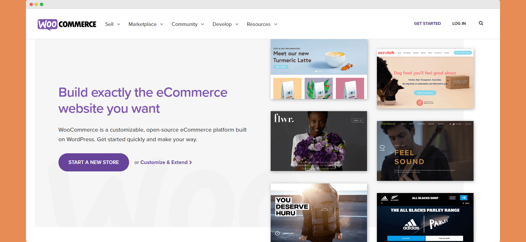 woocommerce online store development 